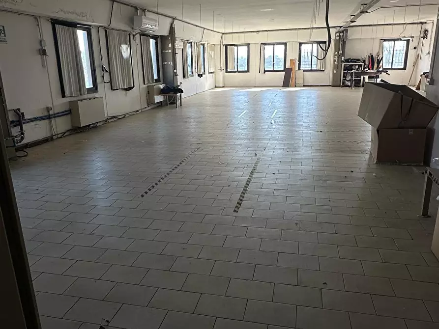 Immagine 21 di Attività artigianale in vendita  a Capraia E Limite