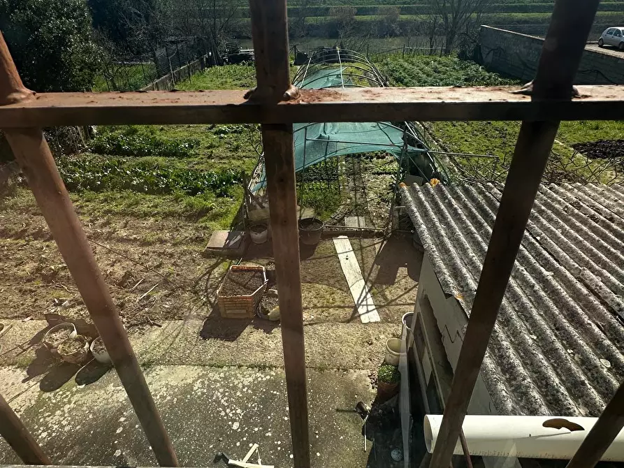 Immagine 19 di Attività artigianale in vendita  a Capraia E Limite