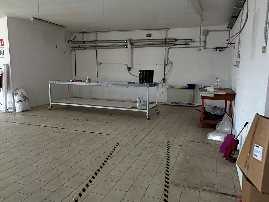 Immagine 14 di Attività artigianale in vendita  a Capraia E Limite