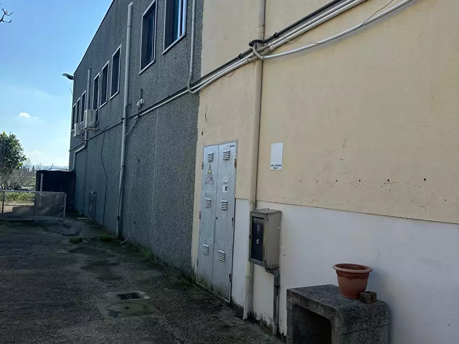 Immagine 22 di Attività artigianale in vendita  a Capraia E Limite