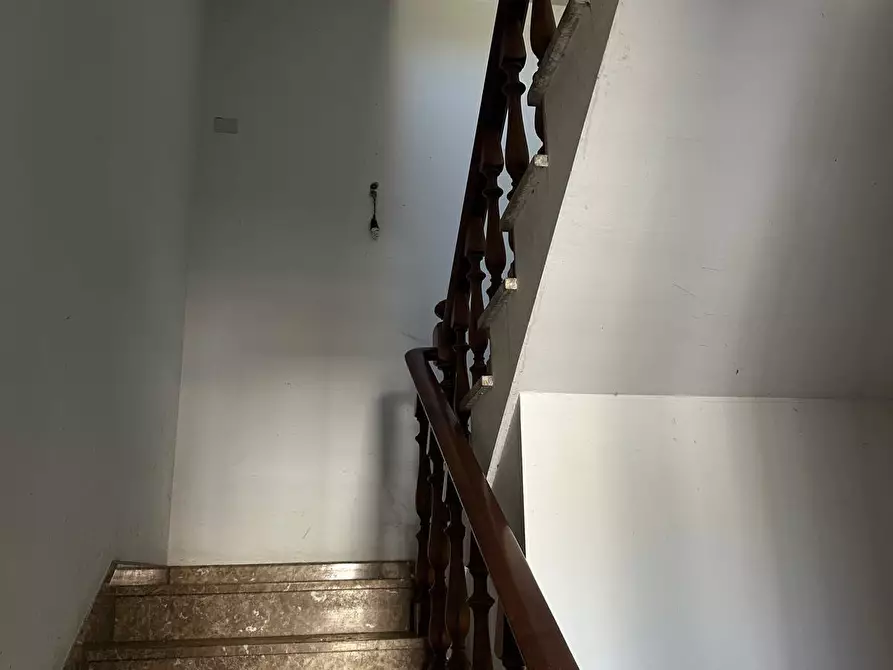 Immagine 11 di Attività artigianale in vendita  a Capraia E Limite