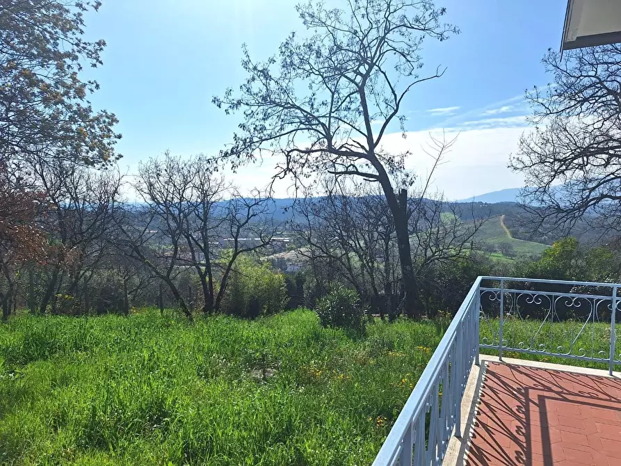 Immagine 25 di Villa in vendita  a Capannori