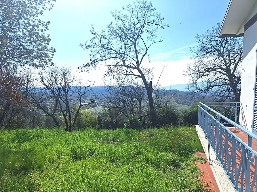 Immagine 11 di Villa in vendita  a Capannori