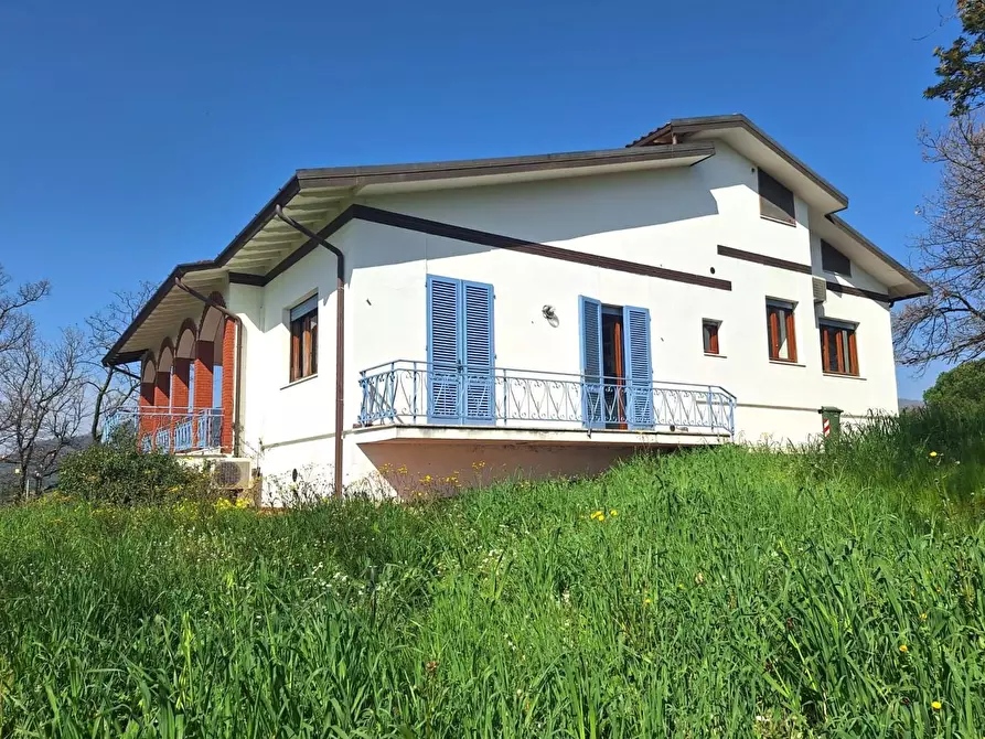 Immagine 1 di Villa in vendita  a Capannori