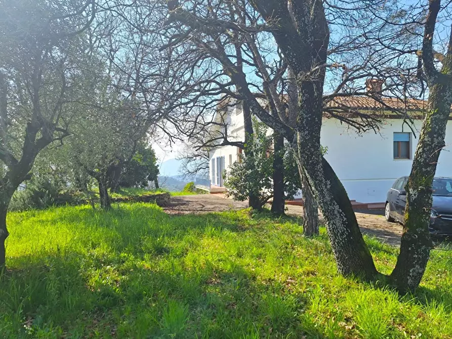 Immagine 10 di Villa in vendita  a Capannori