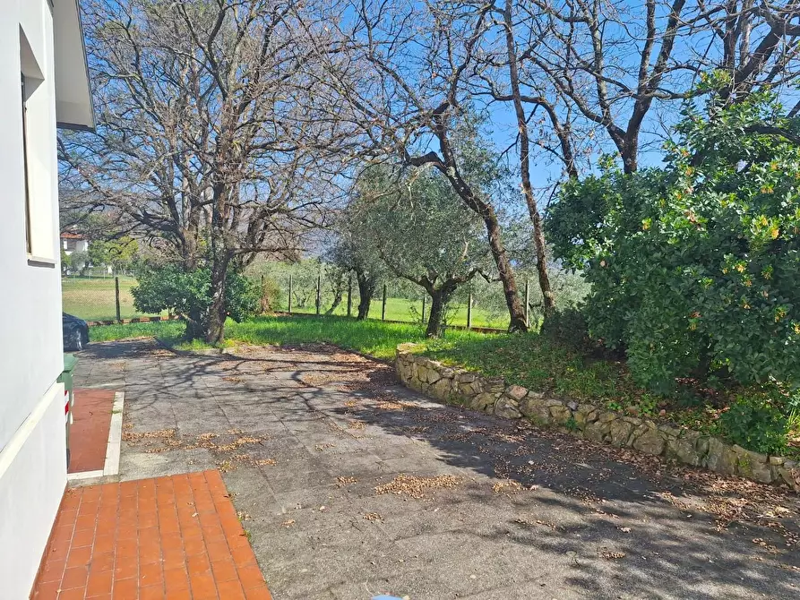 Immagine 28 di Villa in vendita  a Capannori