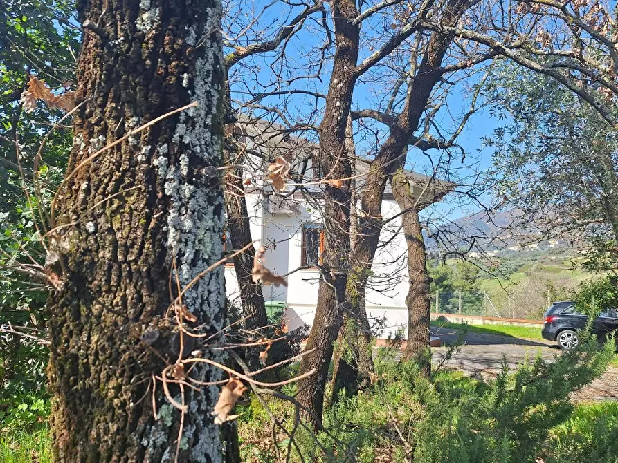 Immagine 51 di Villa in vendita  a Capannori