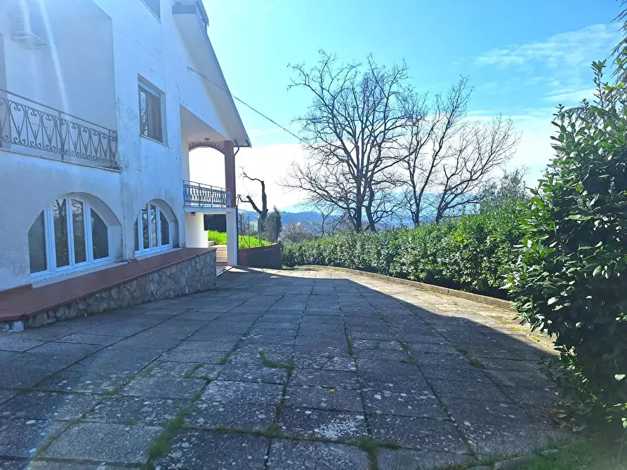 Immagine 54 di Villa in vendita  a Capannori