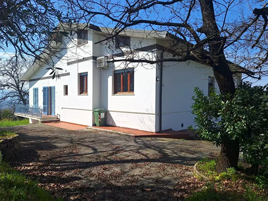 Immagine 52 di Villa in vendita  a Capannori