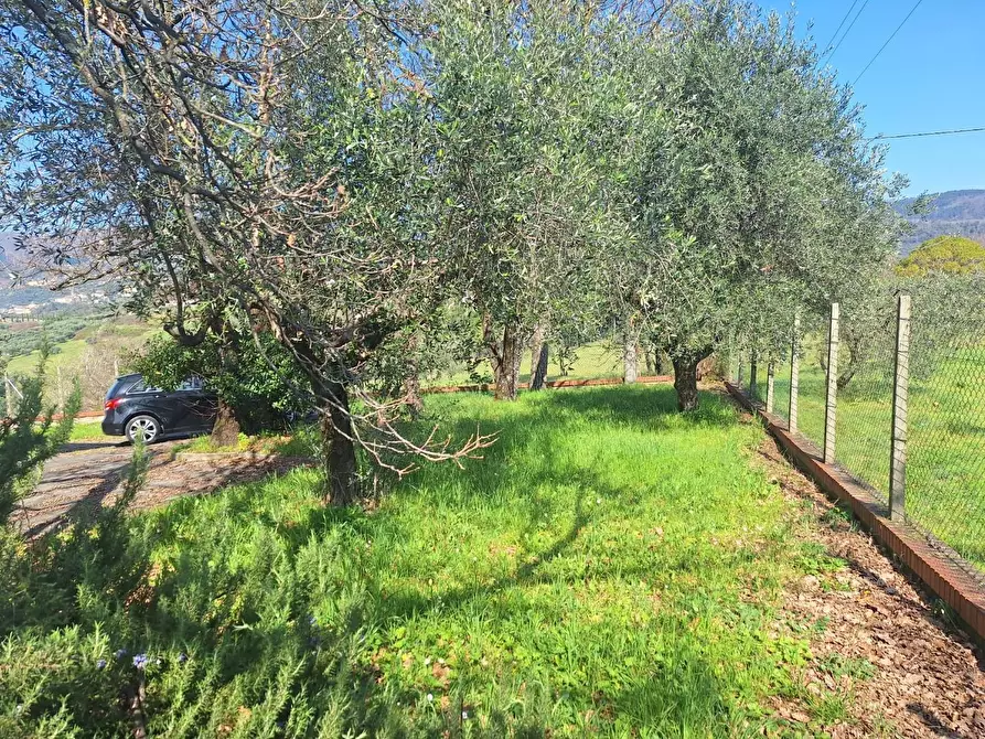 Immagine 53 di Villa in vendita  a Capannori