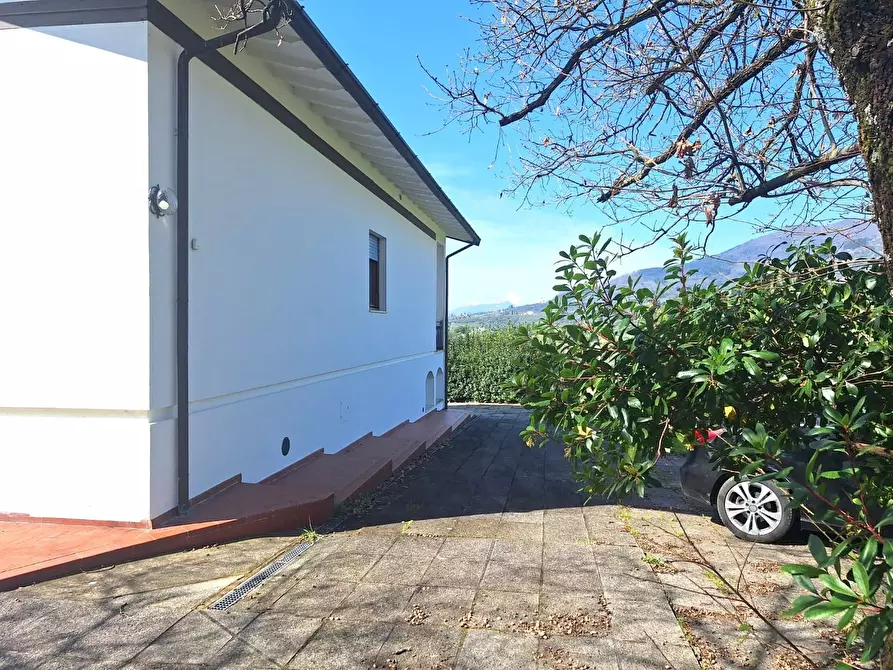 Immagine 15 di Villa in vendita  a Capannori