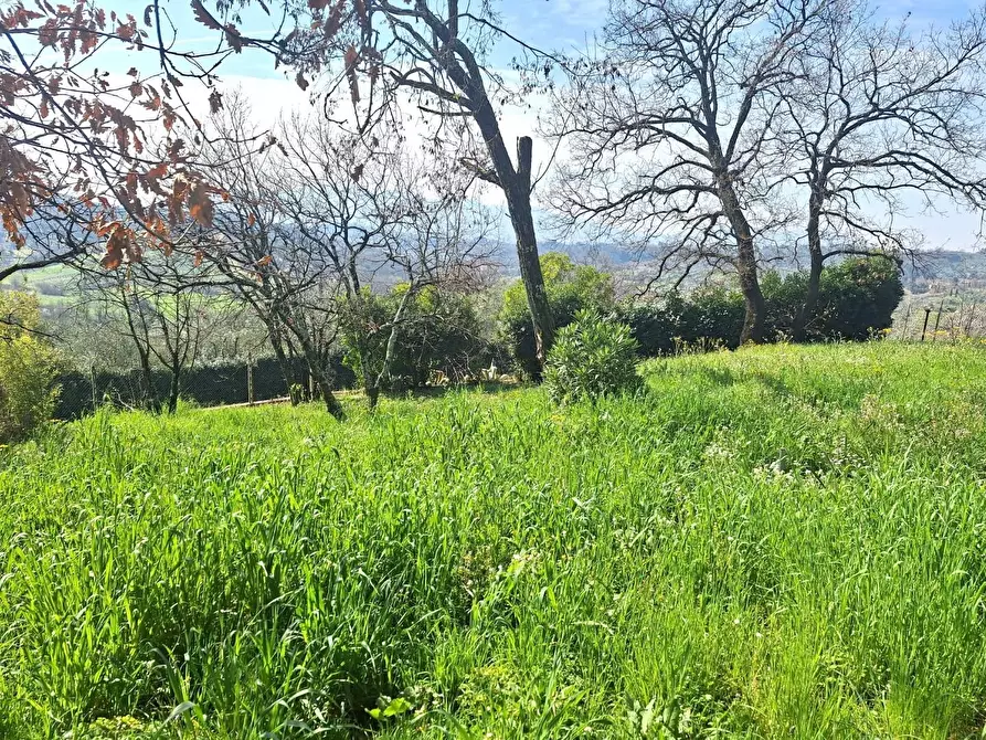 Immagine 49 di Villa in vendita  a Capannori