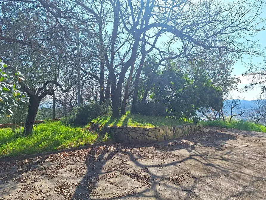 Immagine 56 di Villa in vendita  a Capannori