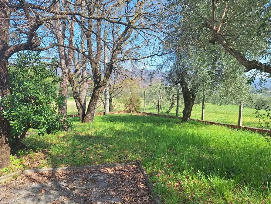 Immagine 55 di Villa in vendita  a Capannori