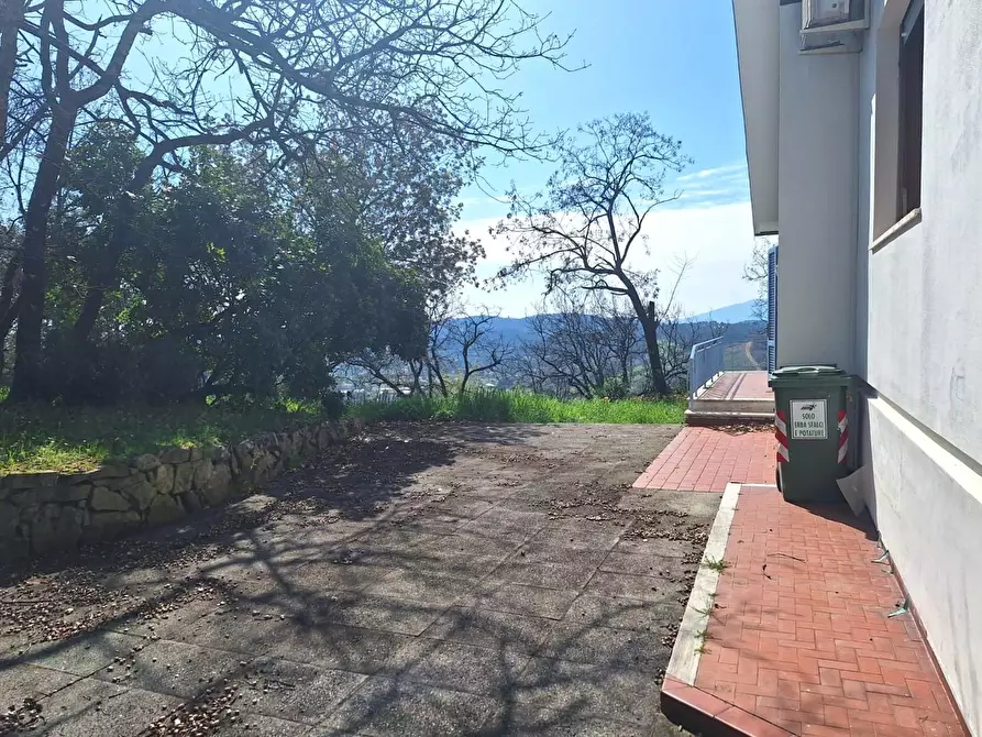 Immagine 21 di Villa in vendita  a Capannori