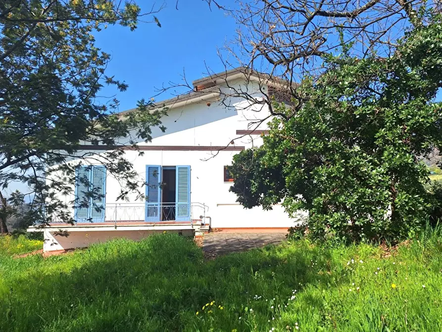 Immagine 2 di Villa in vendita  a Capannori