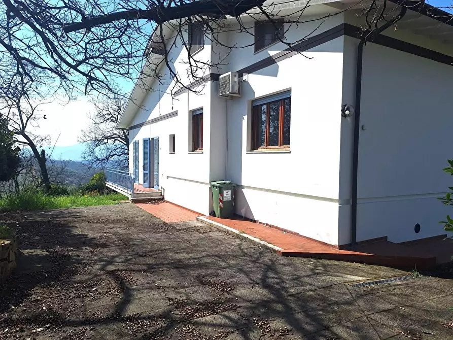 Immagine 3 di Villa in vendita  a Capannori