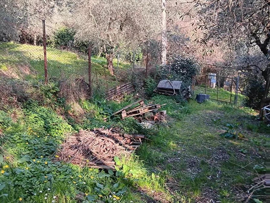 Immagine 2 di Terreno agricolo in vendita  a Massarosa