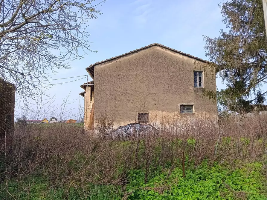 Immagine 5 di Casa colonica in vendita  a Montopoli In Val D'arno