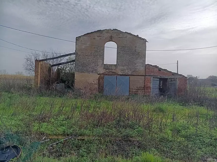 Immagine 4 di Casa colonica in vendita  a Montopoli In Val D'arno