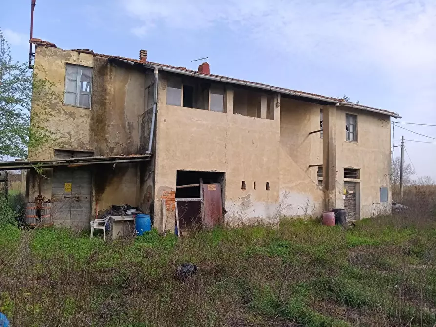 Immagine 10 di Casa colonica in vendita  a Montopoli In Val D'arno