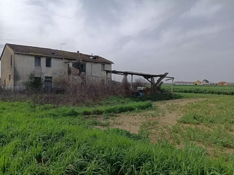 Immagine 8 di Casa colonica in vendita  a Montopoli In Val D'arno