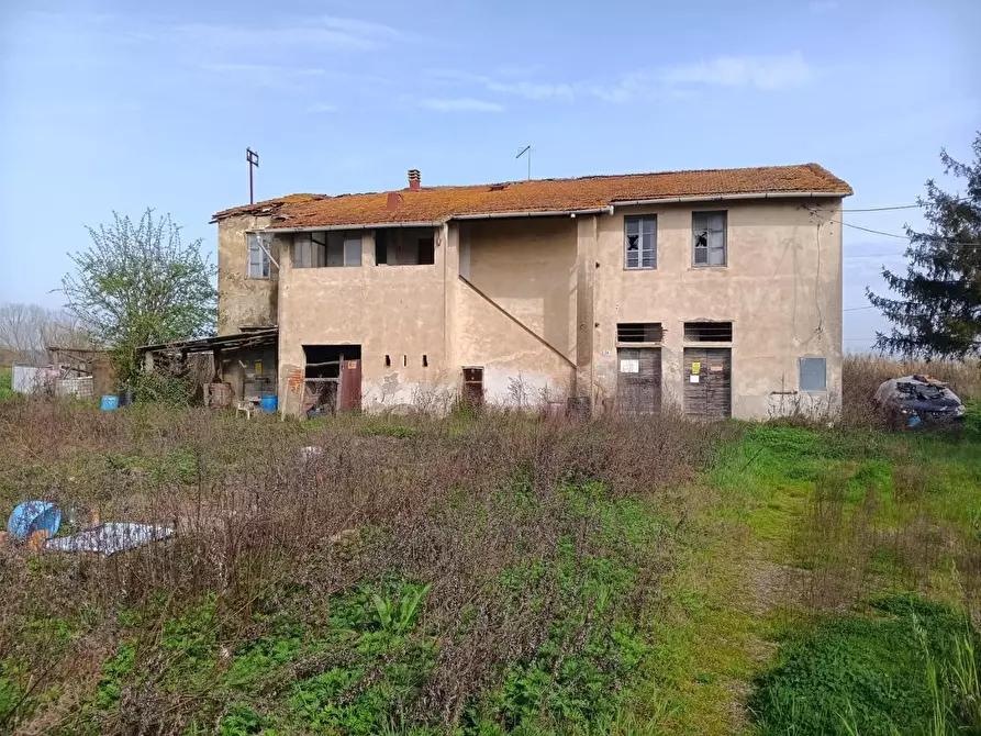 Immagine 6 di Casa colonica in vendita  a Montopoli In Val D'arno