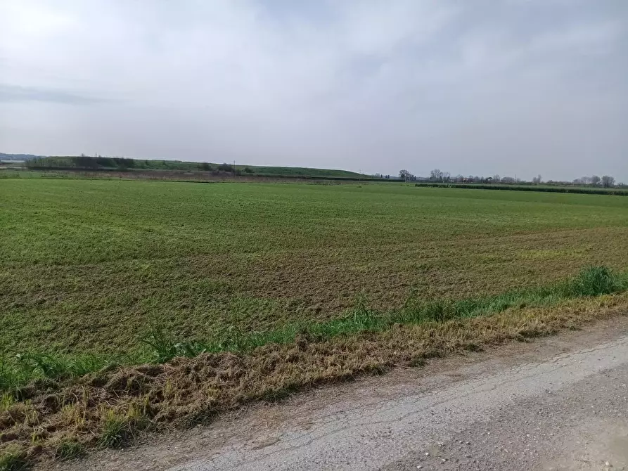 Immagine 3 di Casa colonica in vendita  a Montopoli In Val D'arno