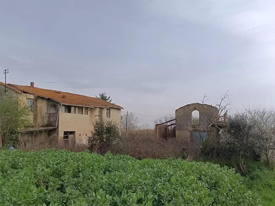 Immagine 7 di Casa colonica in vendita  a Montopoli In Val D'arno