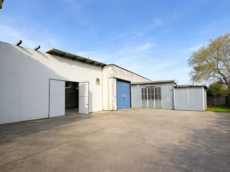 Immagine 3 di Capannone industriale in vendita  a Pontedera
