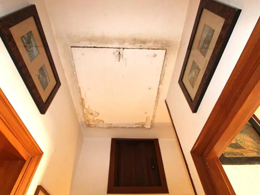 Immagine 21 di Appartamento in vendita  a Pisa