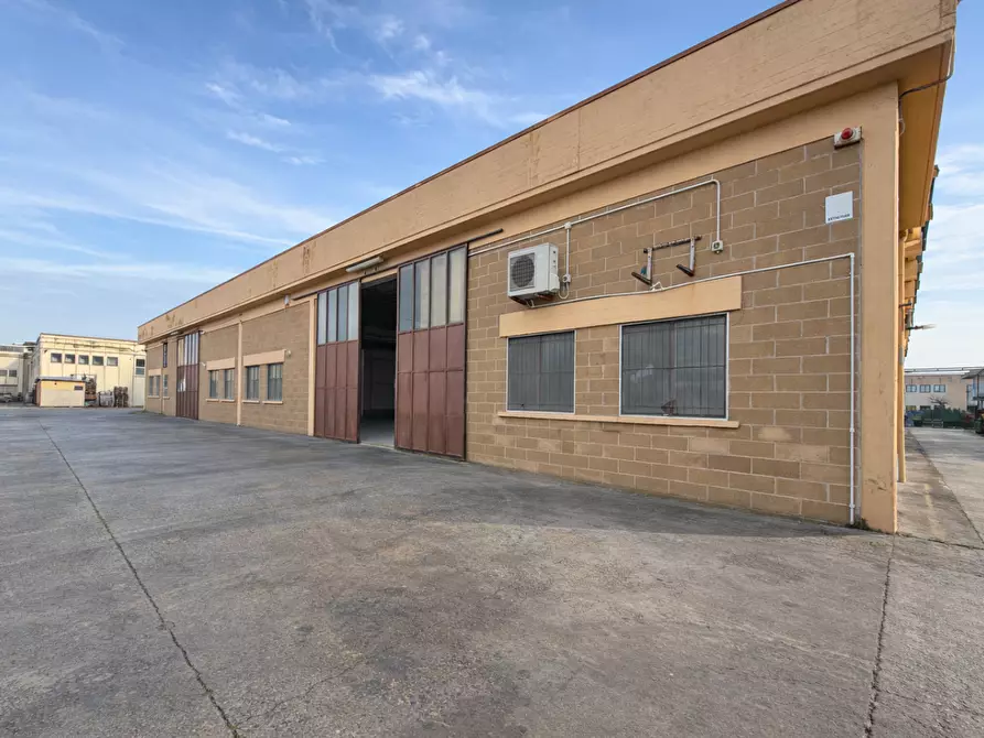 Immagine 6 di Capannone industriale in vendita  a Pontedera