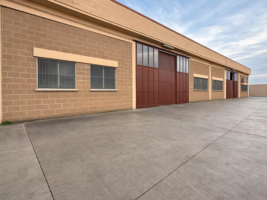 Immagine 1 di Capannone industriale in vendita  a Pontedera