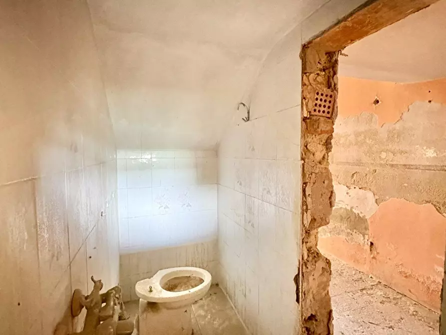 Immagine 19 di Terratetto in vendita  a Capannoli