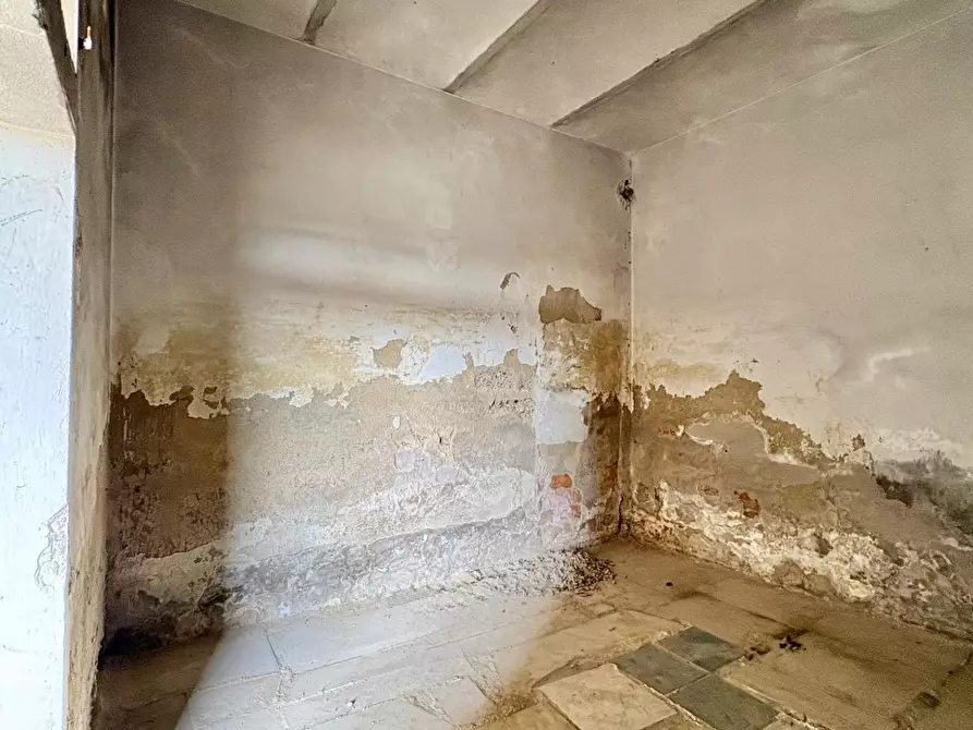 Immagine 21 di Terratetto in vendita  a Capannoli