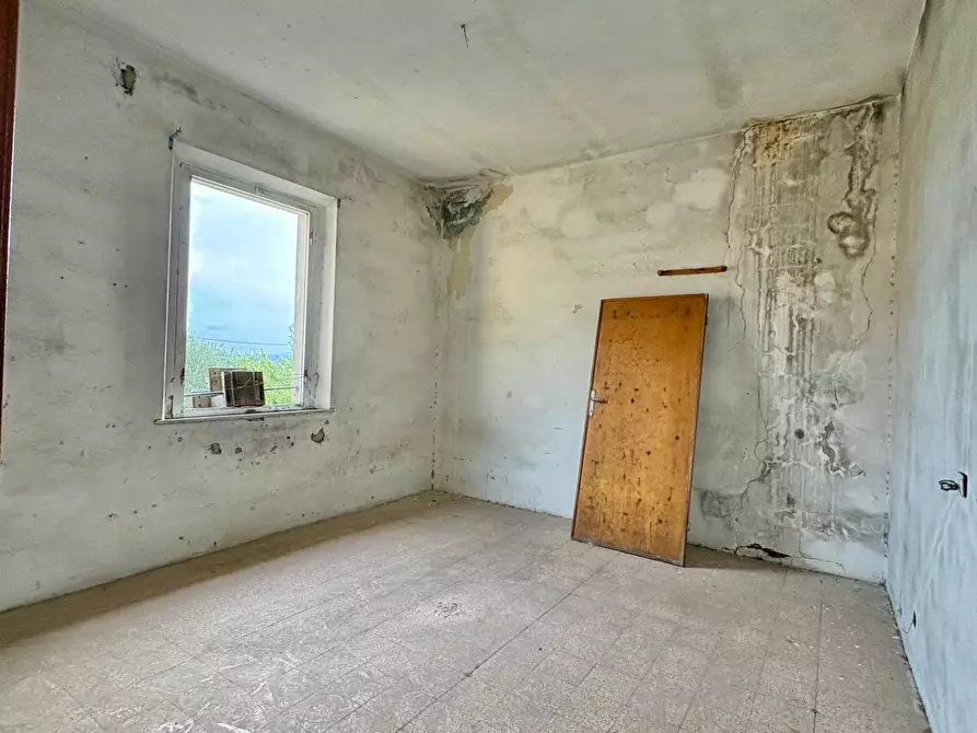 Immagine 15 di Terratetto in vendita  a Capannoli