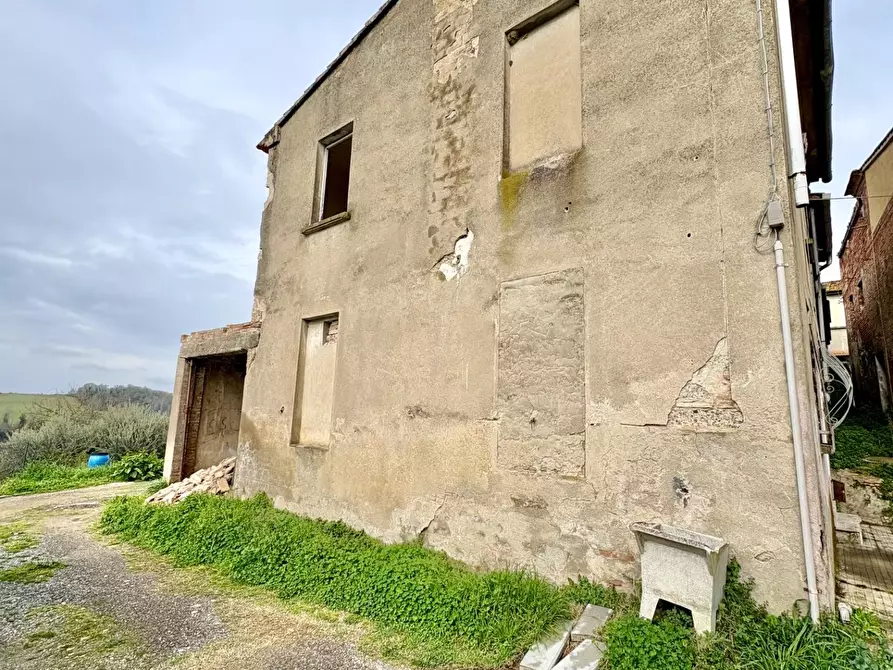 Immagine 2 di Terratetto in vendita  a Capannoli