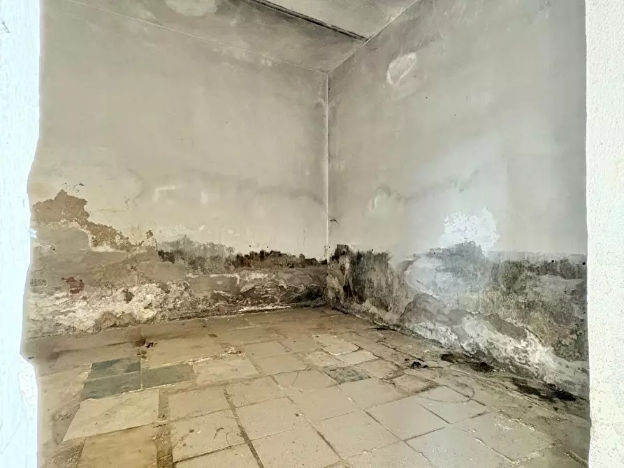 Immagine 18 di Terratetto in vendita  a Capannoli