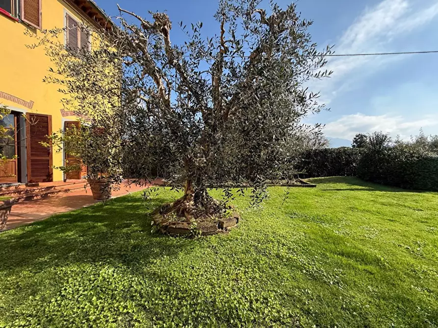 Immagine 3 di Rustico / casale in vendita  a San Giuliano Terme