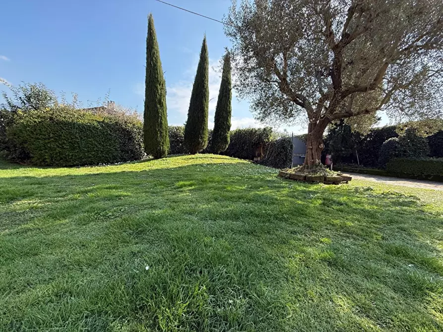 Immagine 50 di Rustico / casale in vendita  a San Giuliano Terme