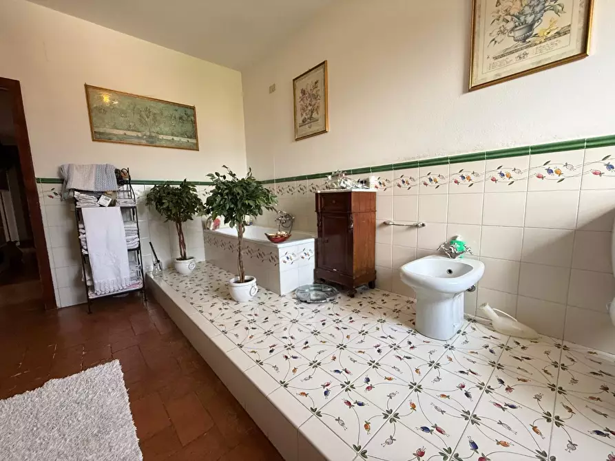 Immagine 34 di Rustico / casale in vendita  a San Giuliano Terme