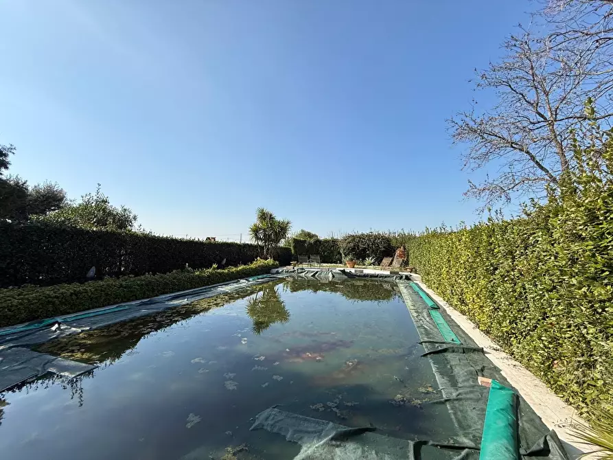 Immagine 49 di Rustico / casale in vendita  a San Giuliano Terme