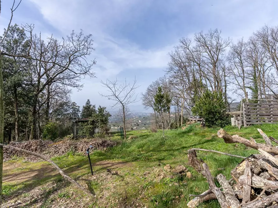 Immagine 24 di Terreno agricolo in vendita  a Vinci