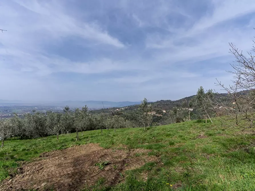 Immagine 11 di Terreno agricolo in vendita  a Vinci