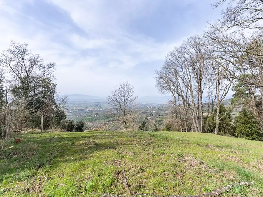Immagine 19 di Terreno agricolo in vendita  a Vinci