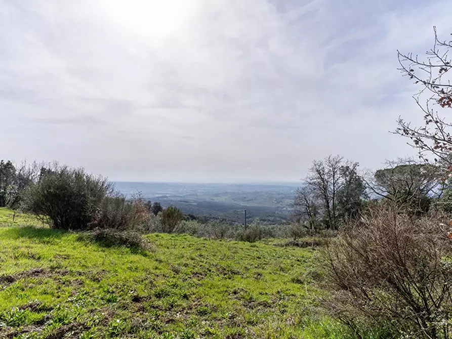 Immagine 32 di Terreno agricolo in vendita  a Vinci