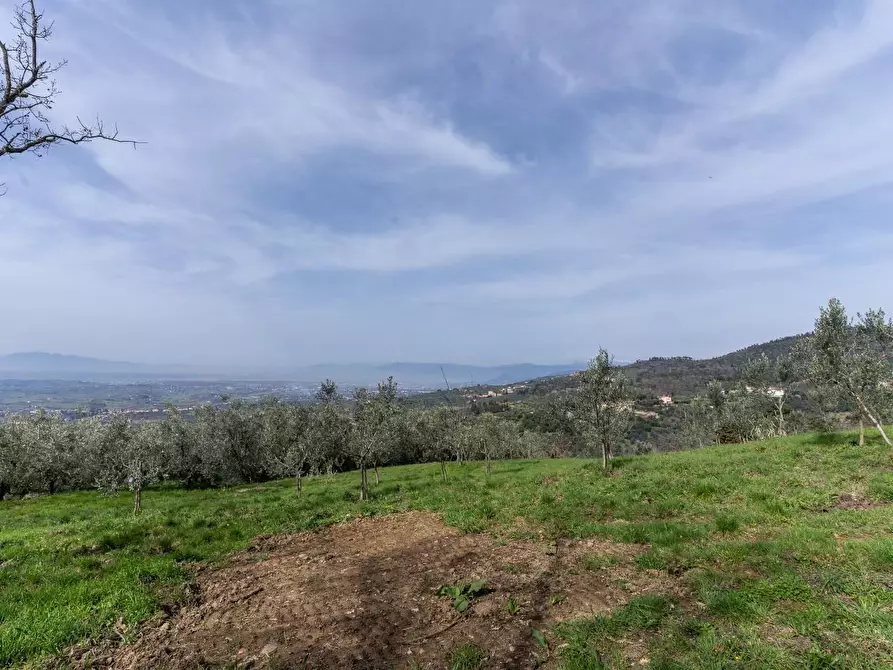 Immagine 12 di Terreno agricolo in vendita  a Vinci