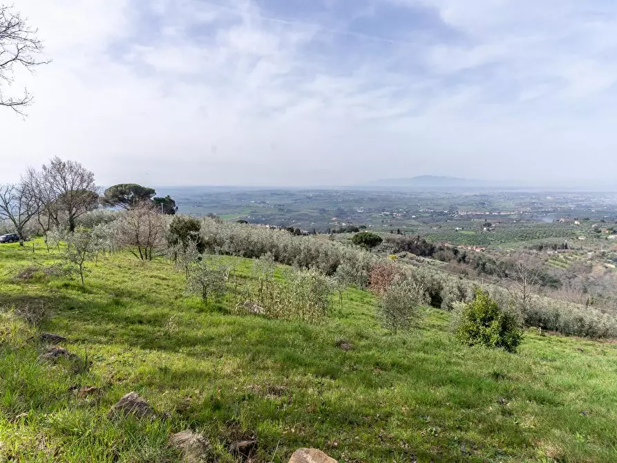 Immagine 16 di Terreno agricolo in vendita  a Vinci