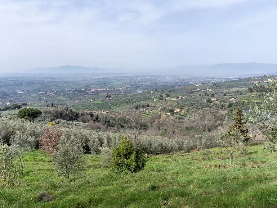 terreno agricolo in vendita a Vinci in zona Sovigliana