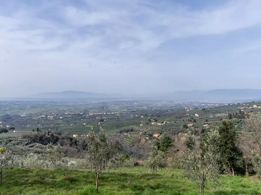 Immagine 8 di Terreno agricolo in vendita  a Vinci